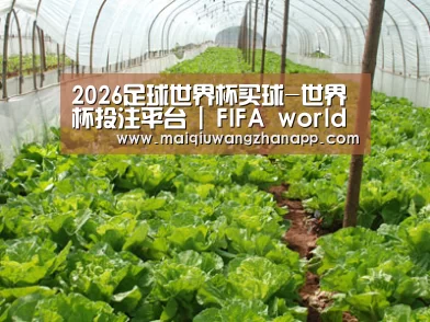 种植基地五