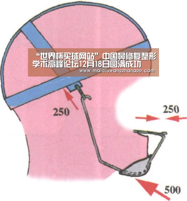 “世界杯买球网站”中国鼻修复整形学术高峰论坛12月18日圆满成功(图2) 世界杯投注