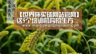 【世界杯买球网站官网】这9个培训机构招生方法,应该算是通例招生思路的凭据地(图4) 世界杯外围买球